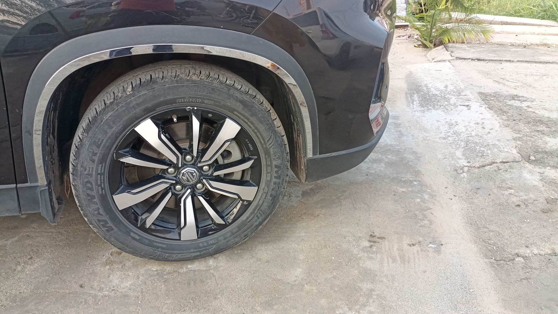 Hector image 11 Hector image 11