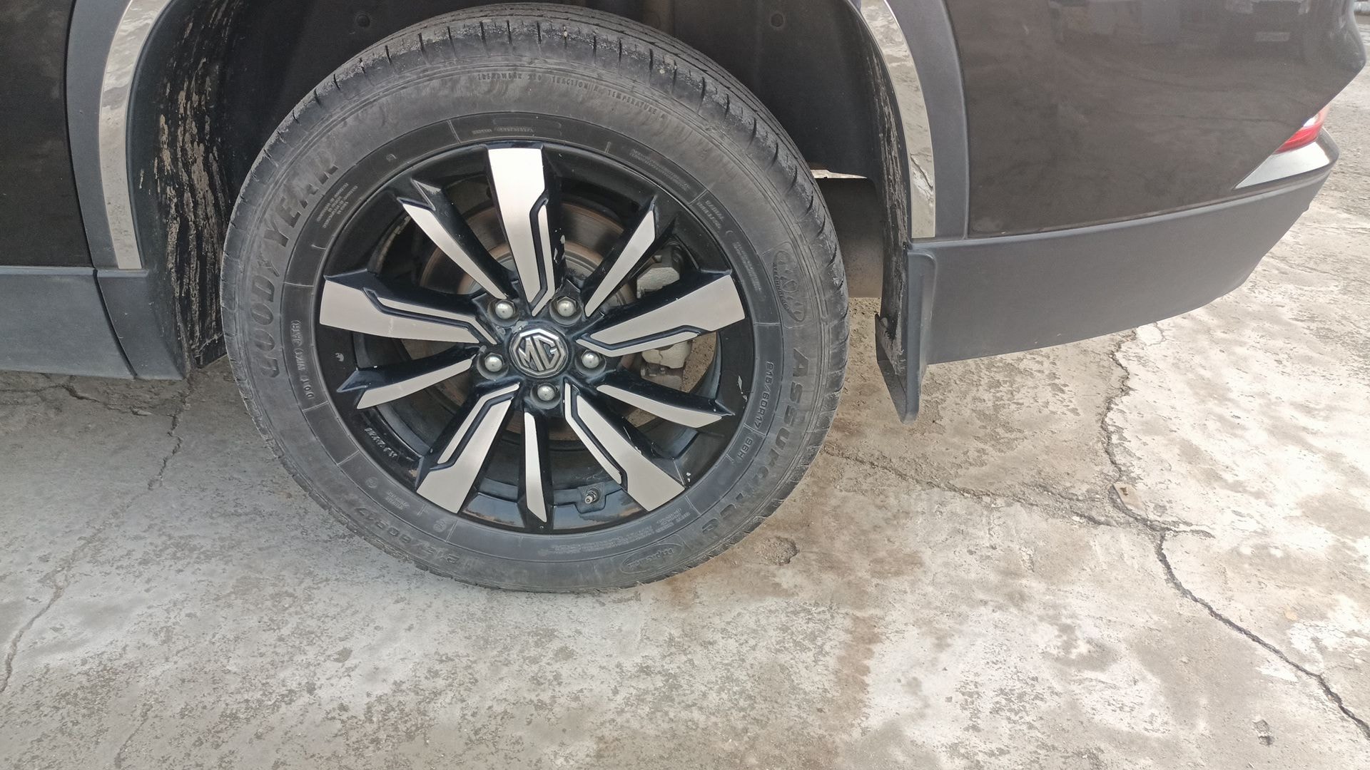 Hector image 5 Hector image 5