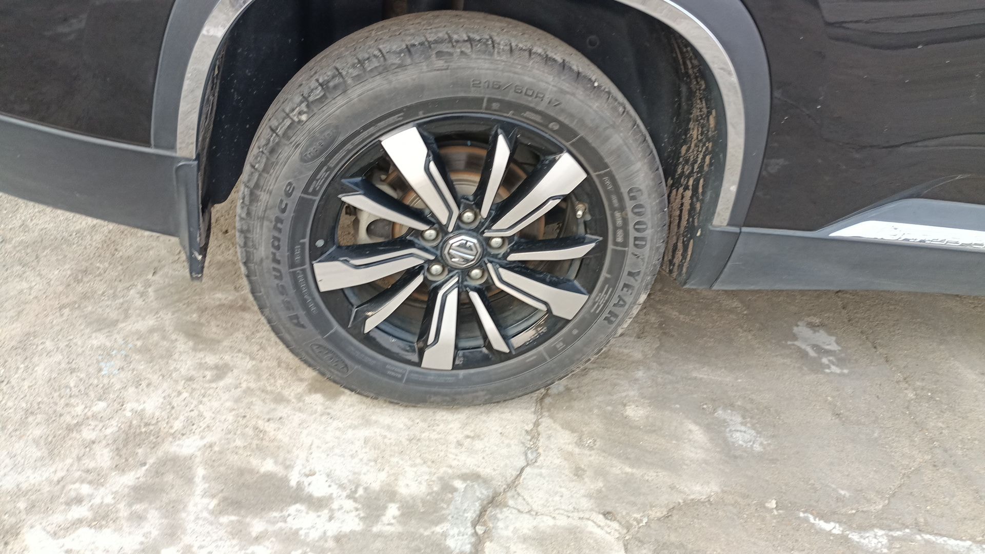 Hector image 13 Hector image 13