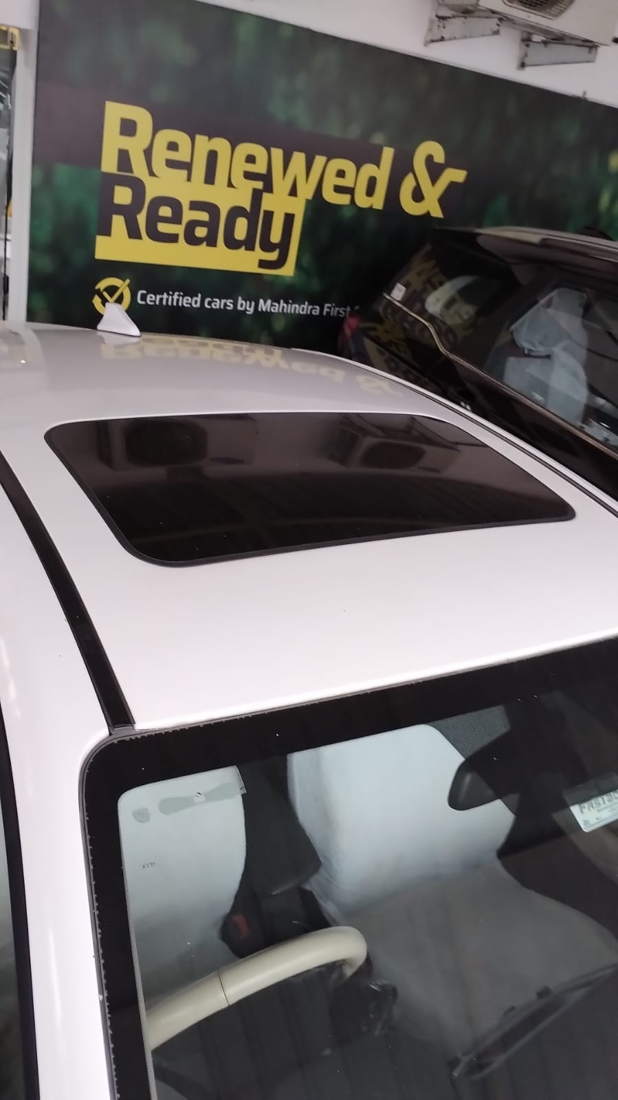 Verna image 13 Verna image 13