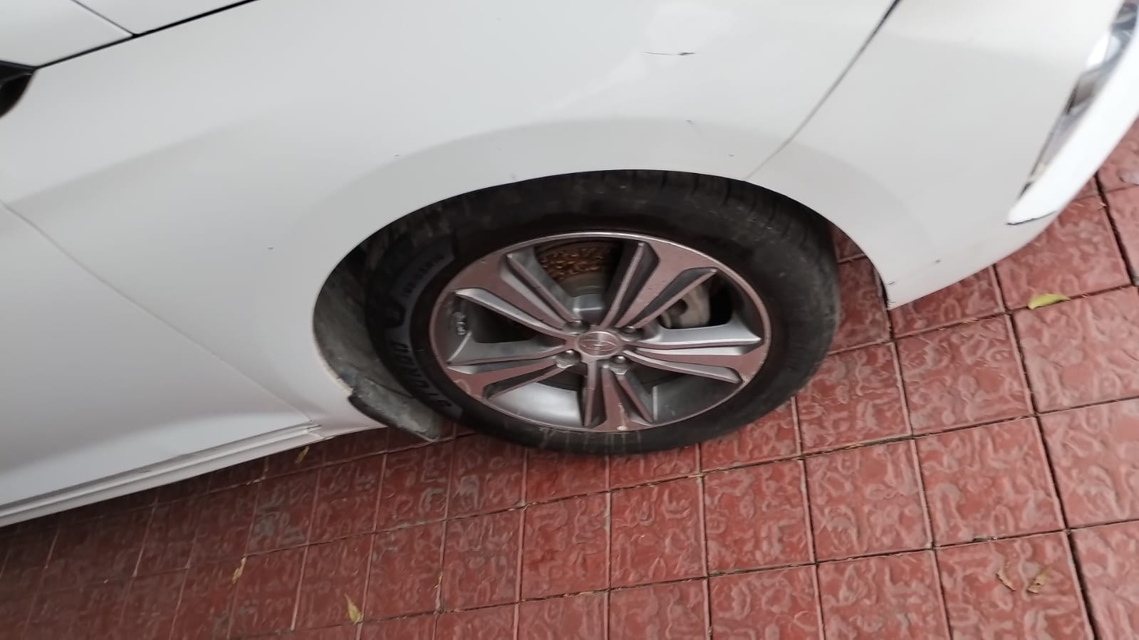 Verna image 3 Verna image 3