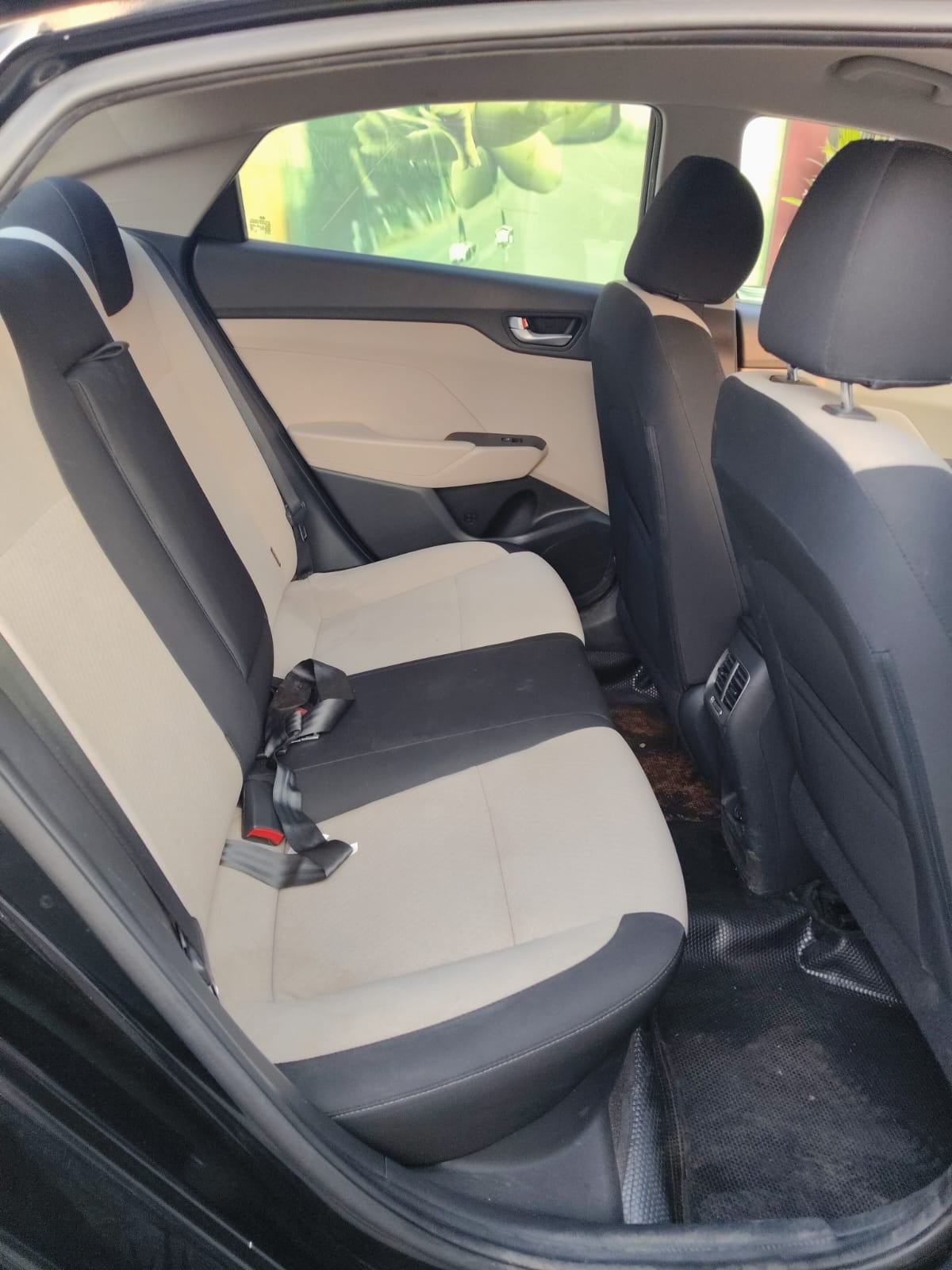 Verna image 14 Verna image 14