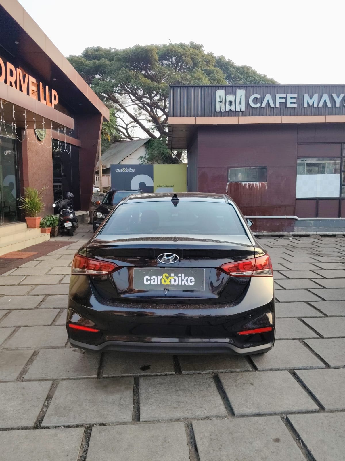 Verna image 4 Verna image 4