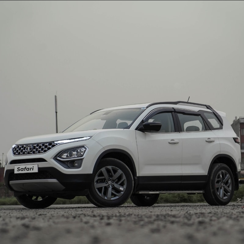 Safari image 2 Safari image 2