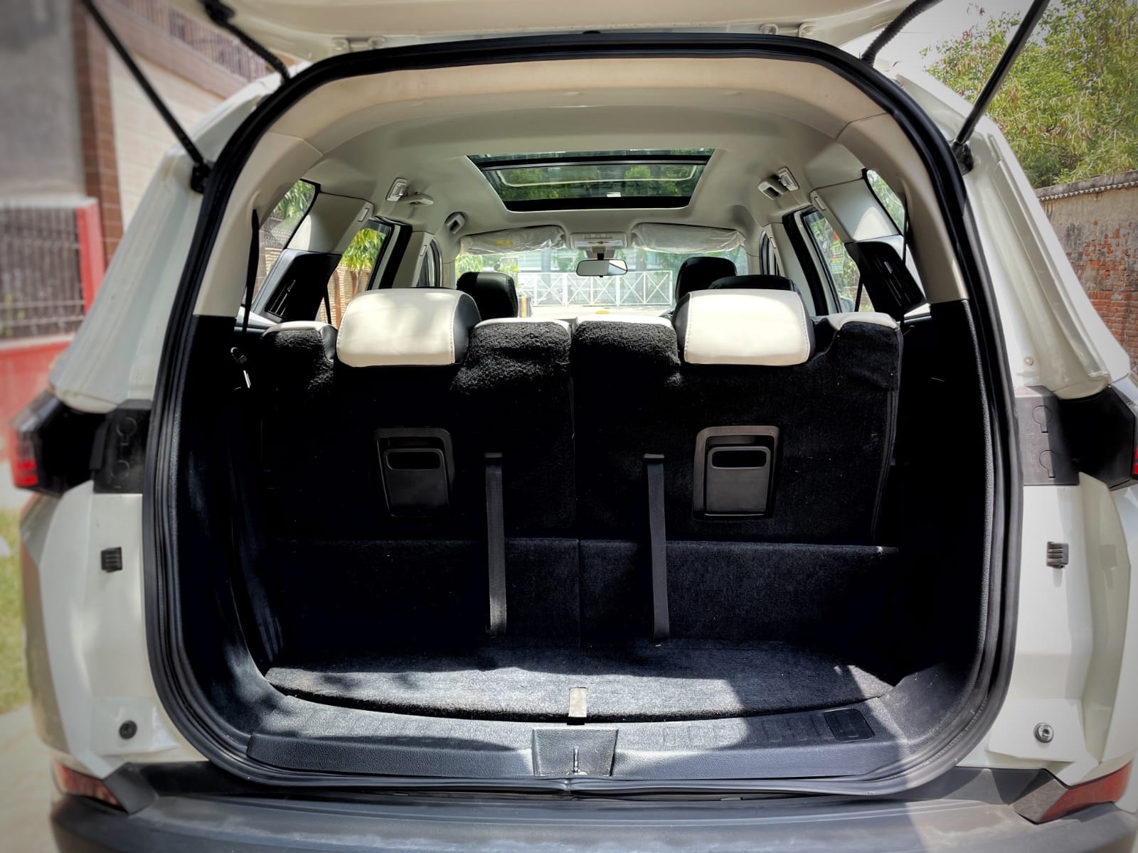 Safari image 10 Safari image 10