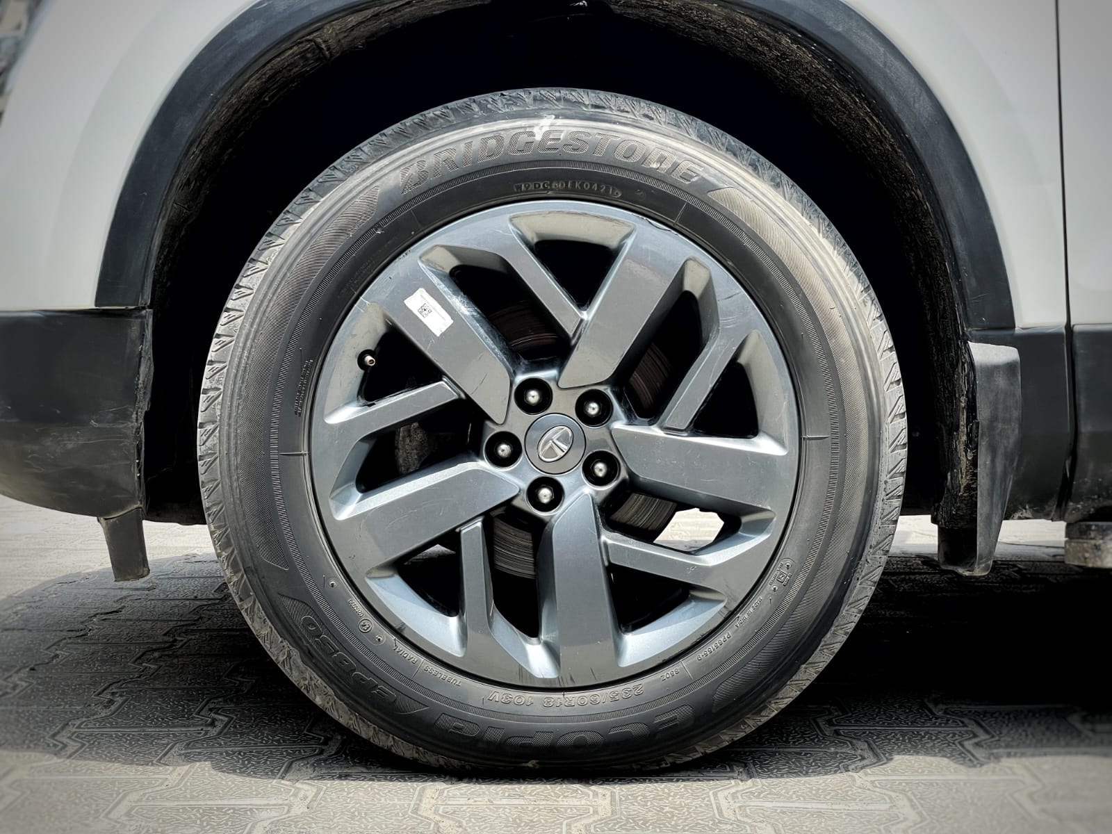 Safari image 9 Safari image 9