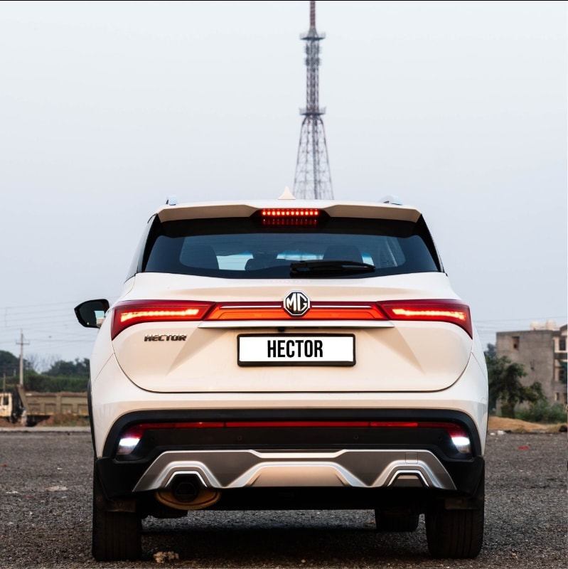 Hector image 4 Hector image 4