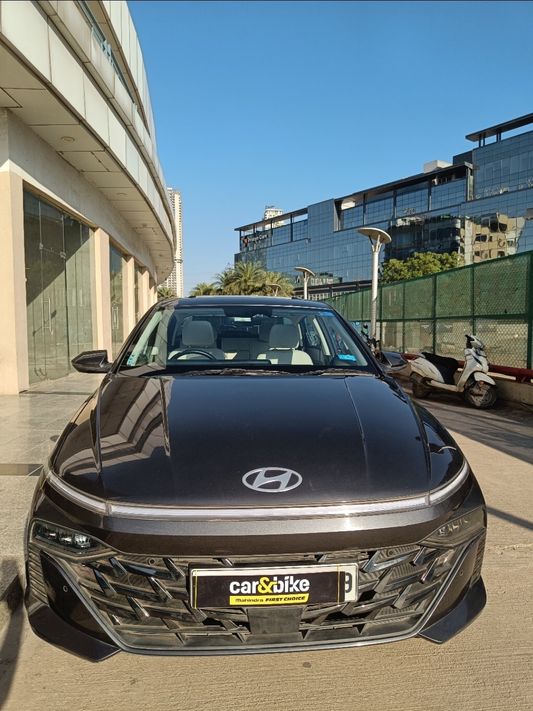 Verna image 1 Verna image 1