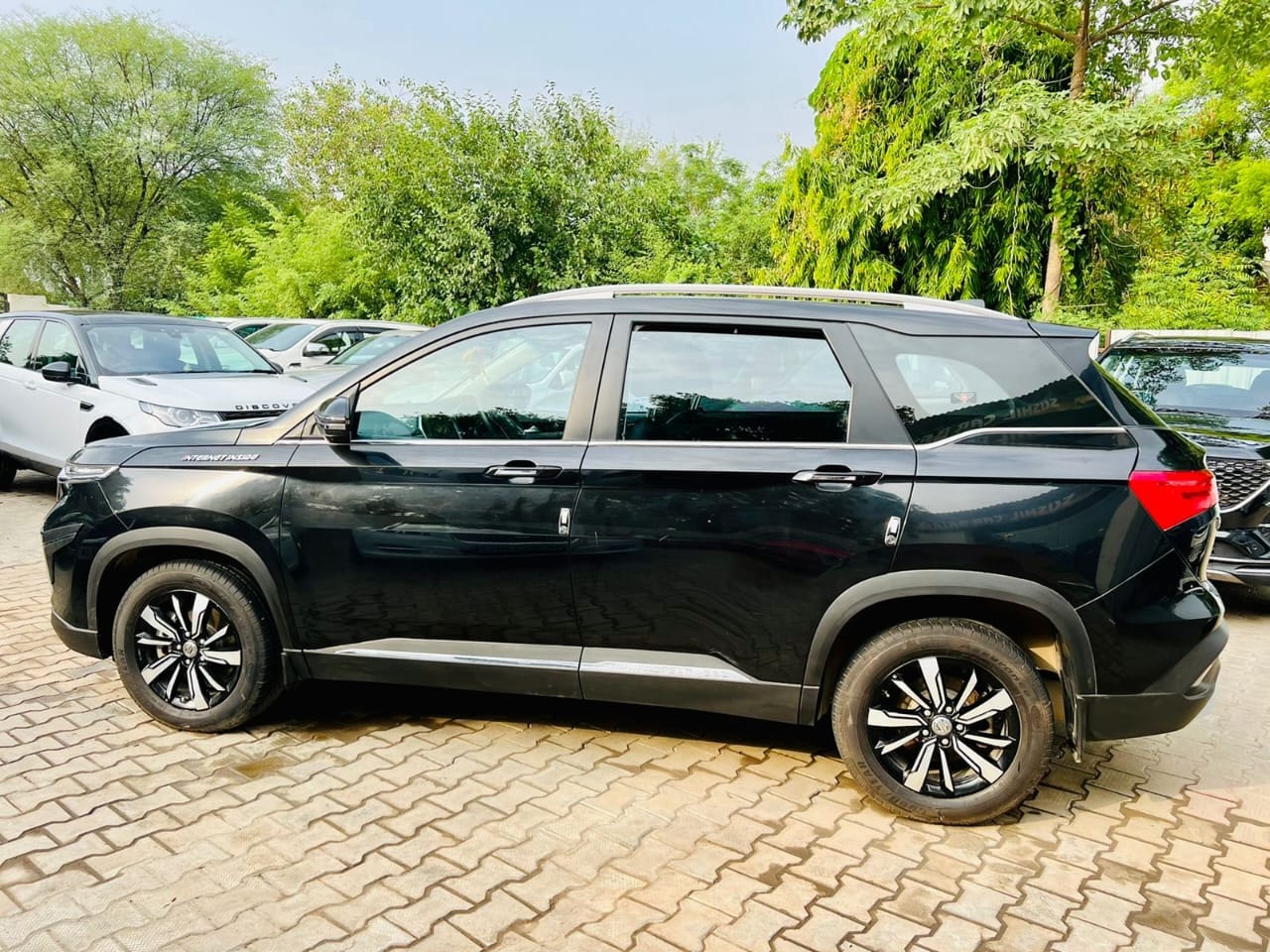 Hector image 2 Hector image 2