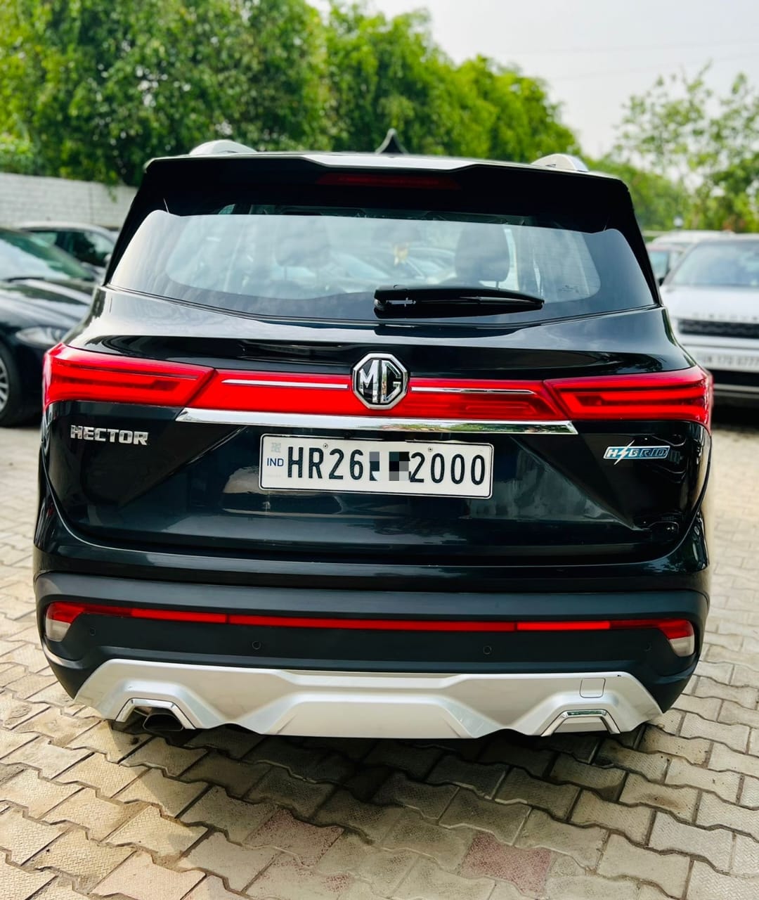 Hector image 4 Hector image 4