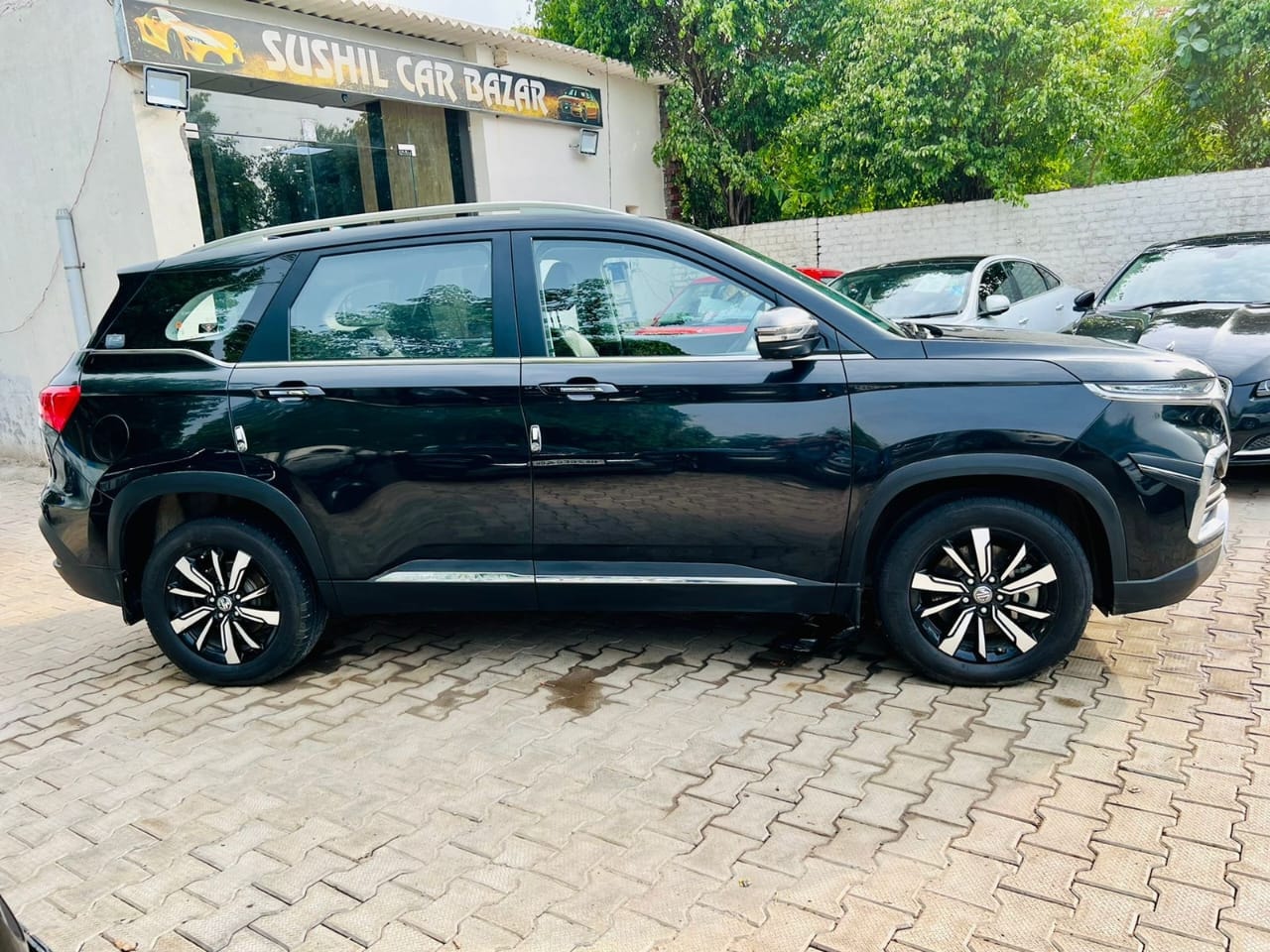 Hector image 6 Hector image 6