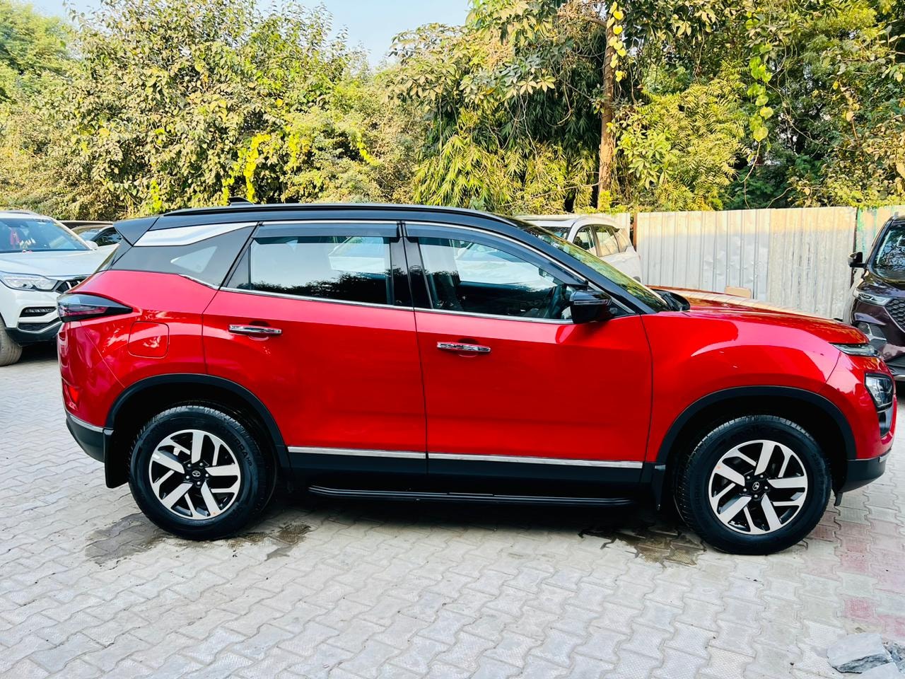 Harrier image 15 Harrier image 15