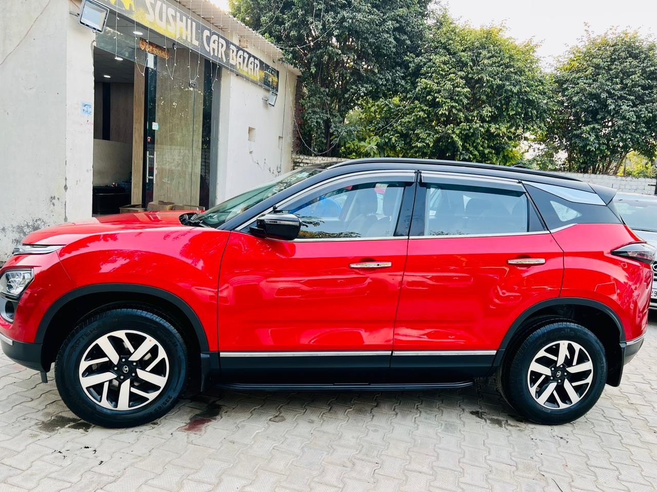 Harrier image 14 Harrier image 14