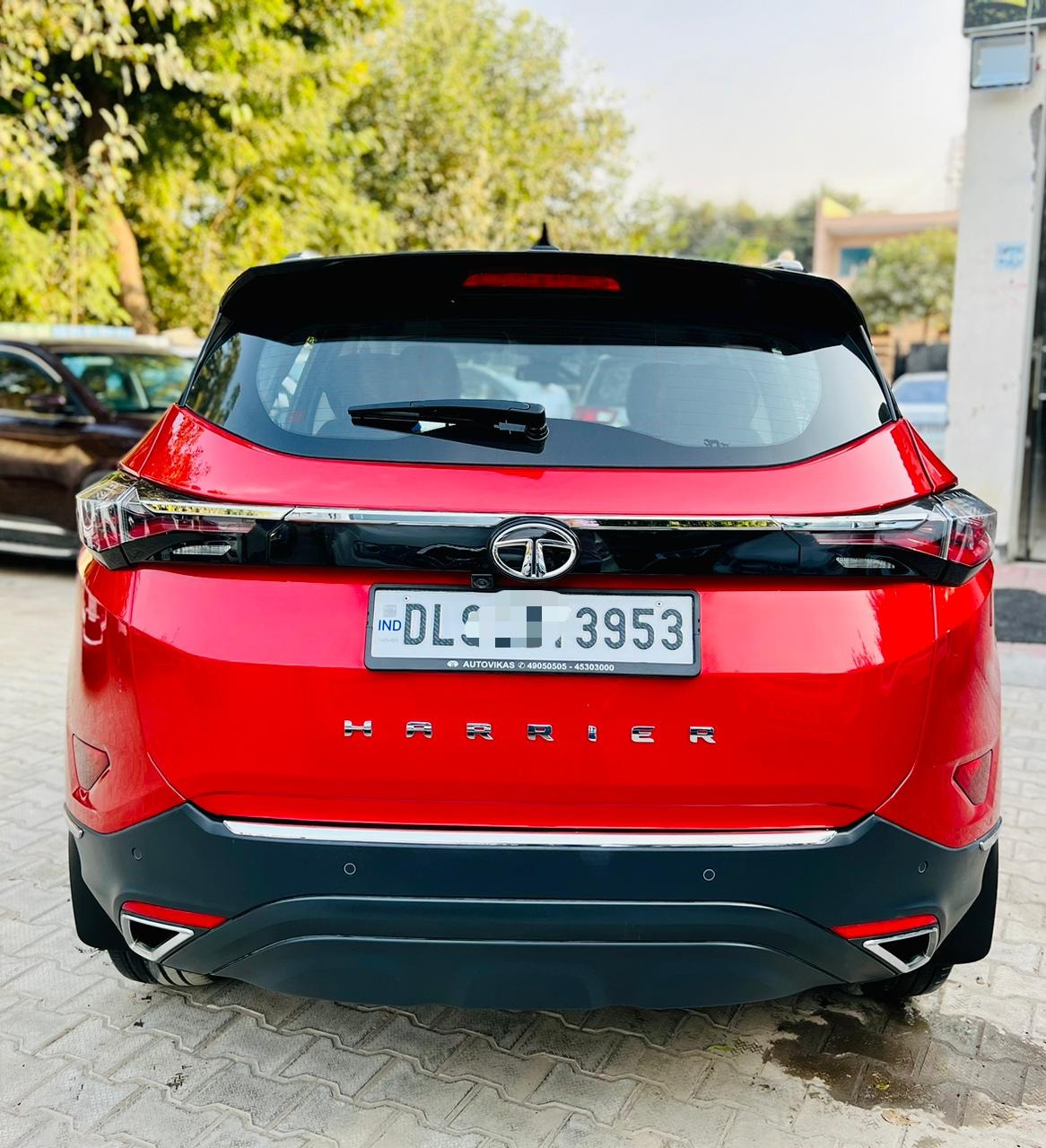 Harrier image 11 Harrier image 11