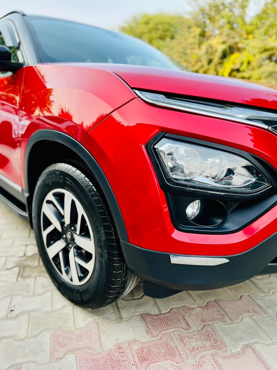 Harrier image 3 Harrier image 3