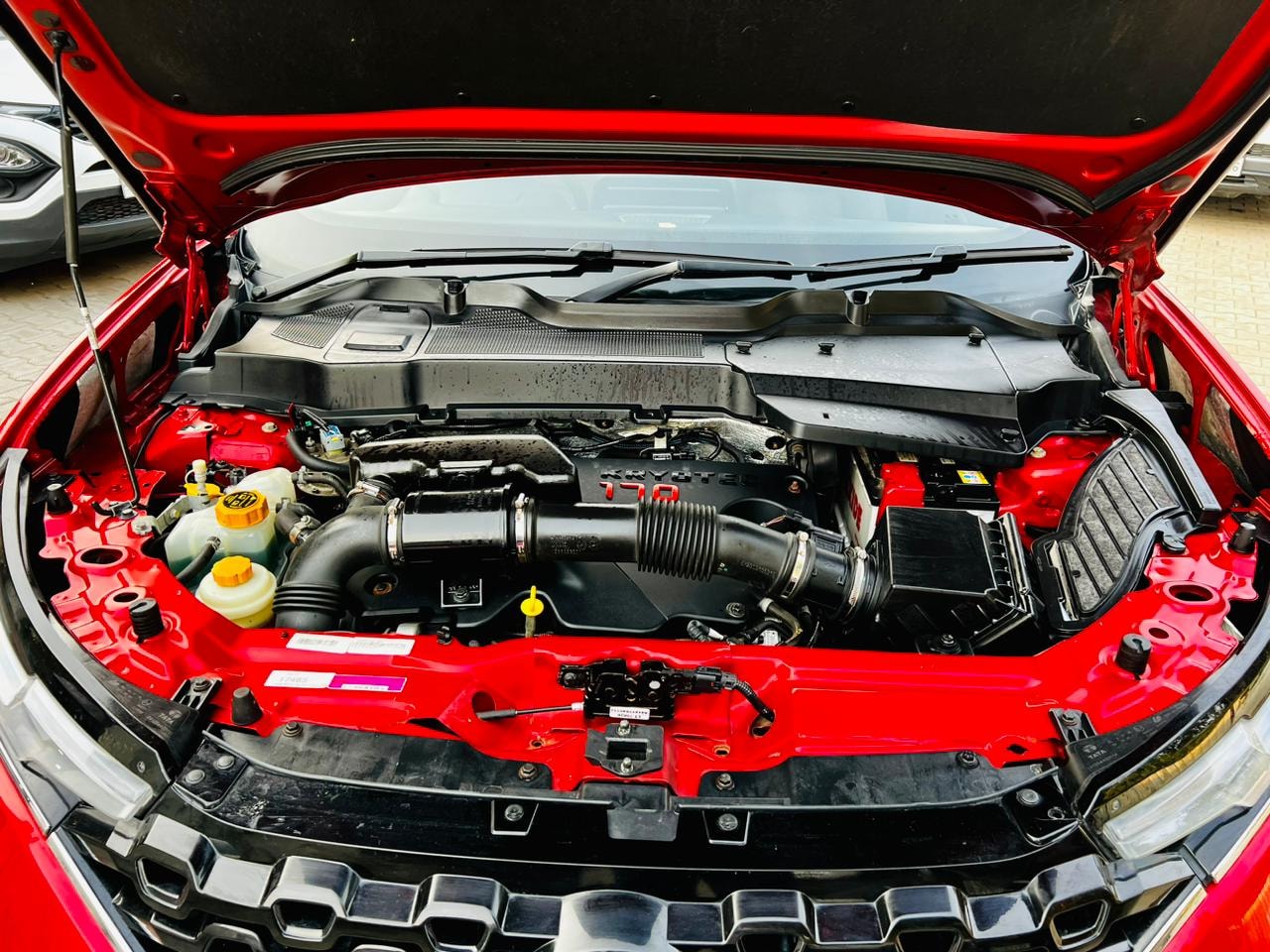 Harrier image 9 Harrier image 9