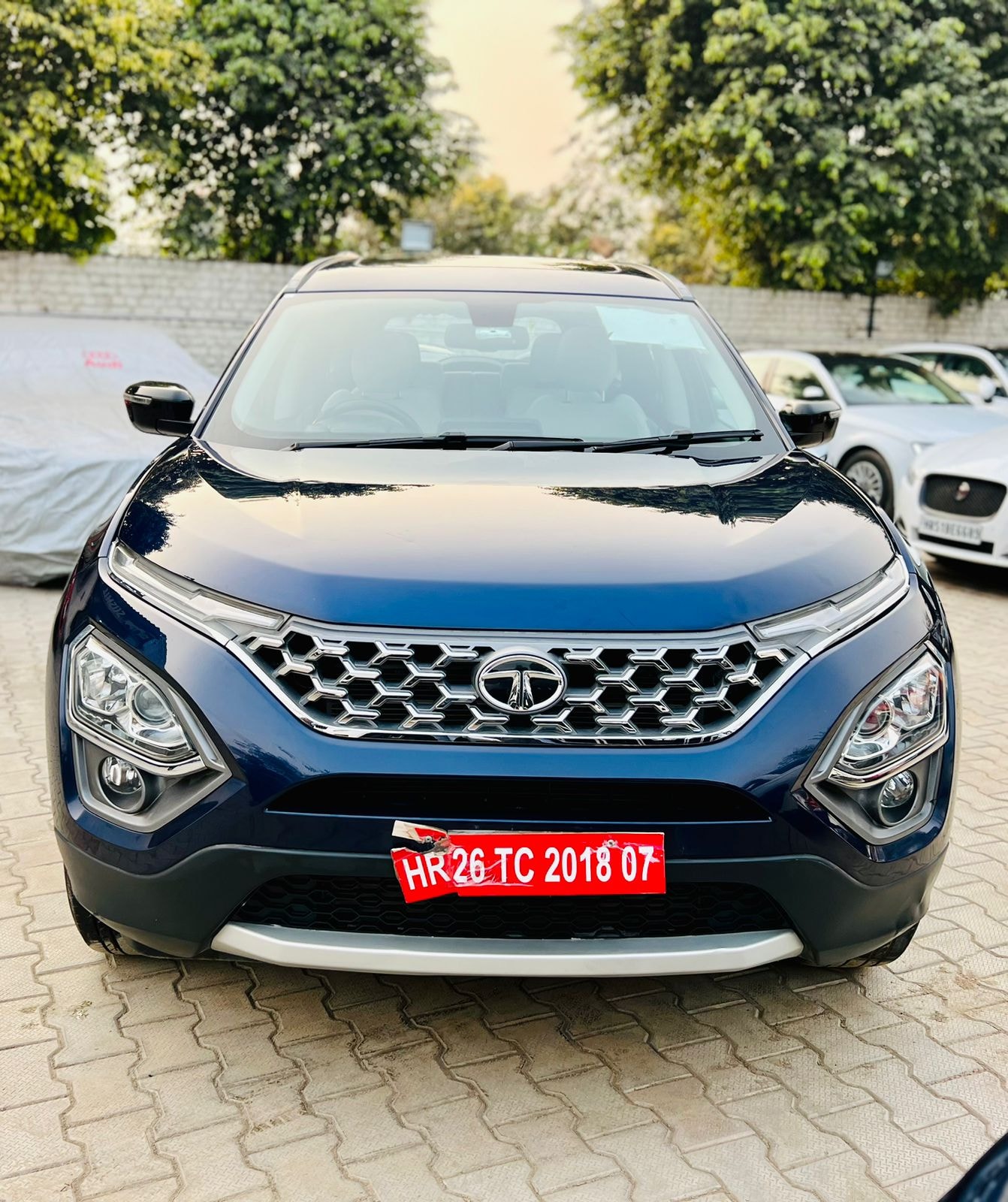 Safari image 1 Safari image 1