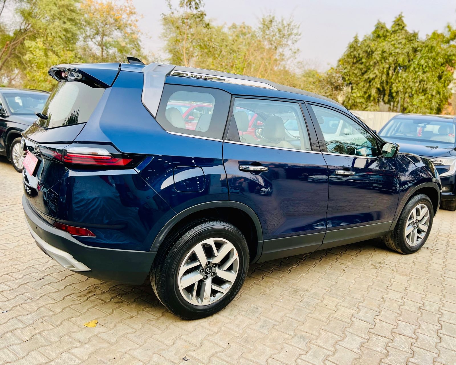 Safari image 5 Safari image 5