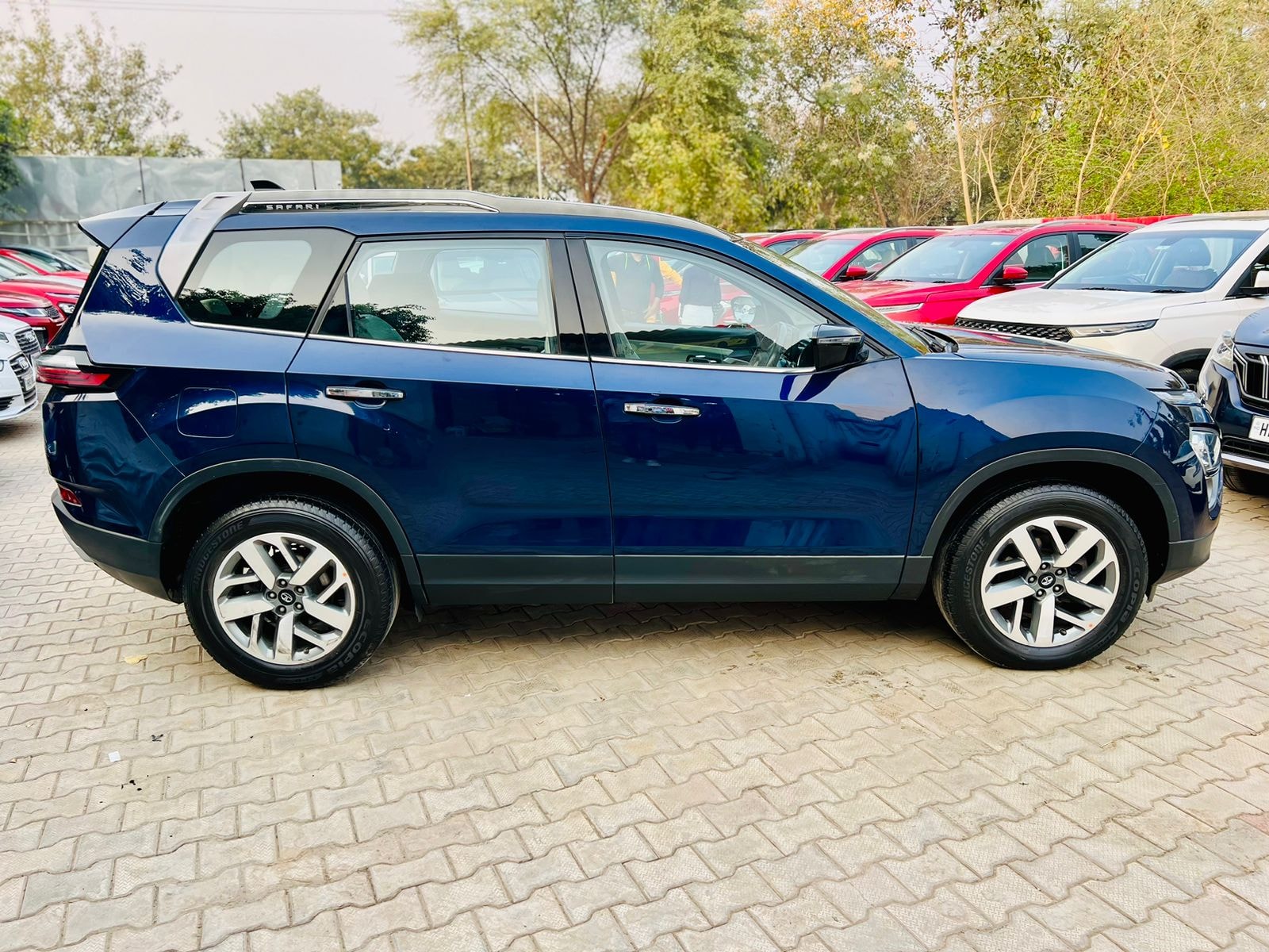 Safari image 6 Safari image 6