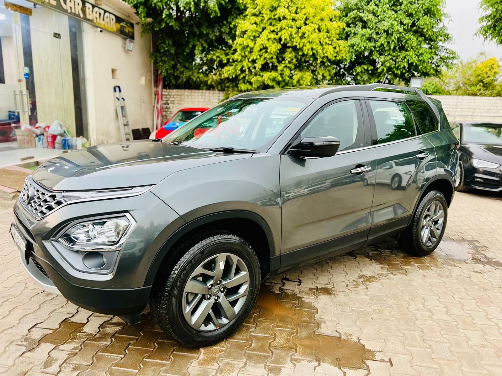 Safari image 1 Safari image 1