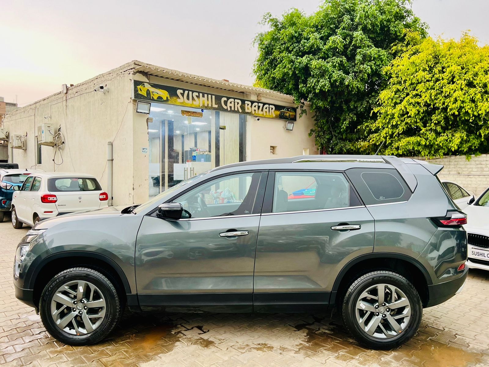 Safari image 8 Safari image 8