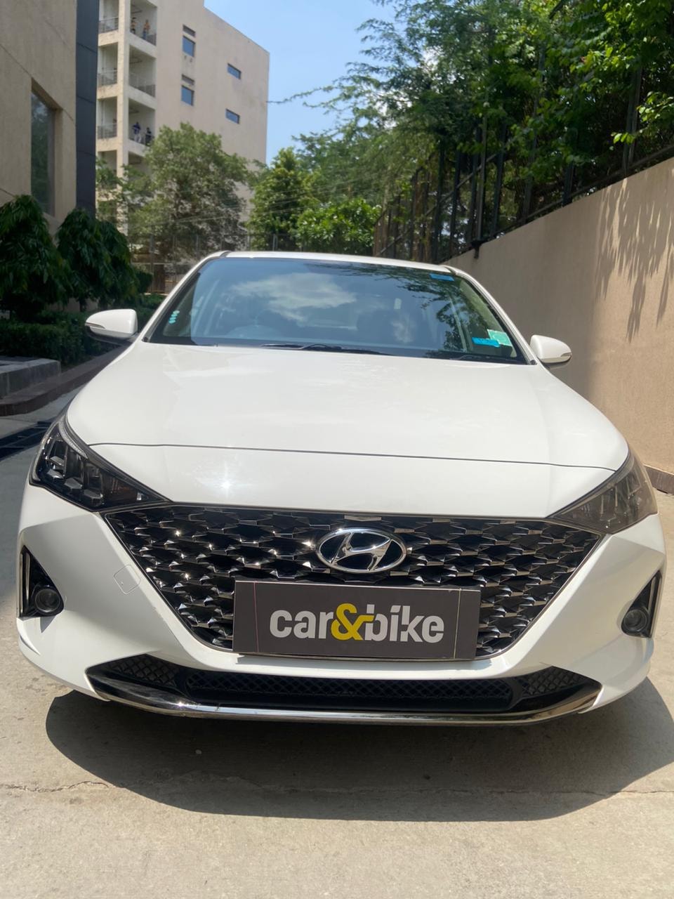 Verna image 1 Verna image 1