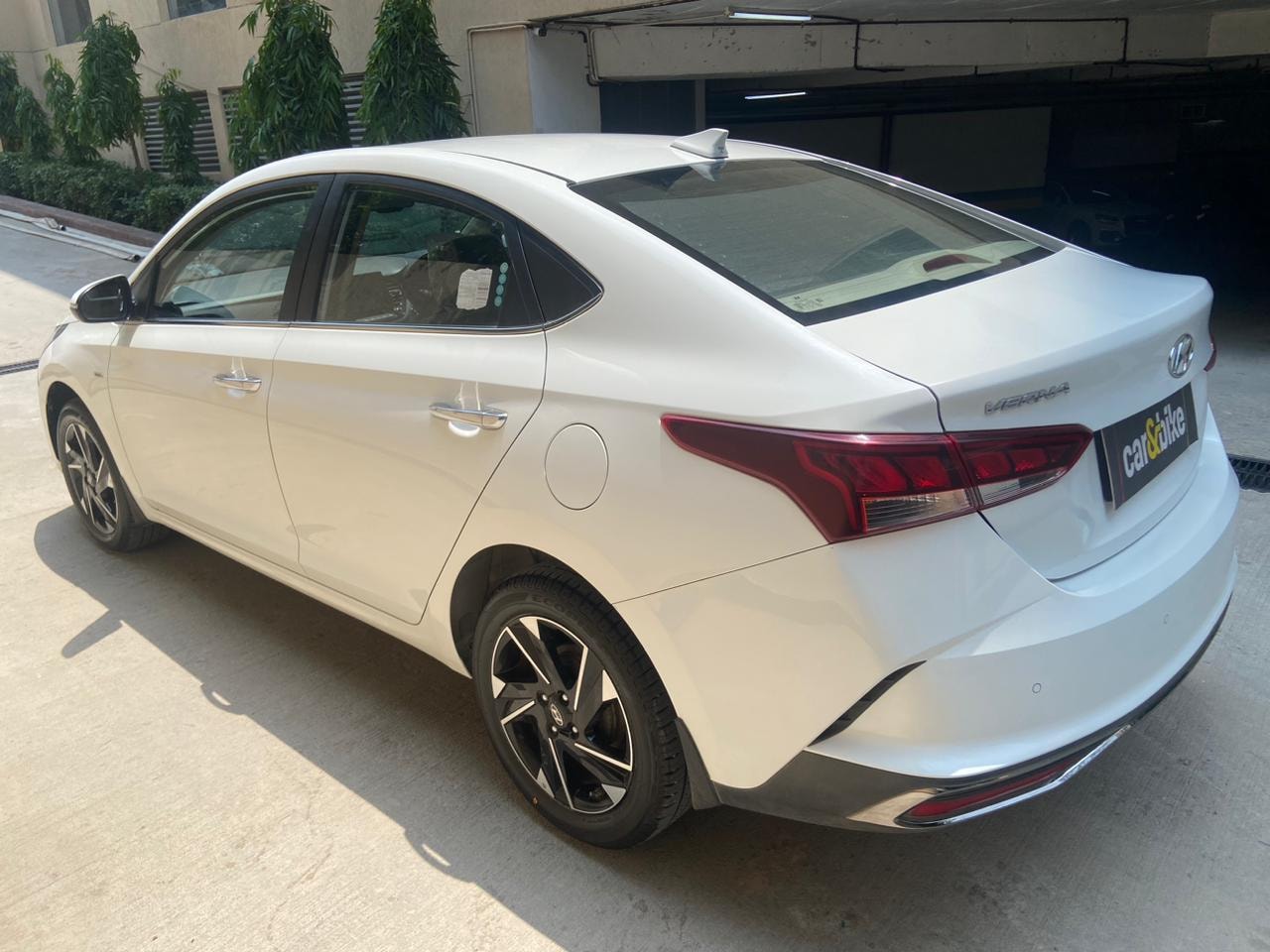 Verna image 2 Verna image 2