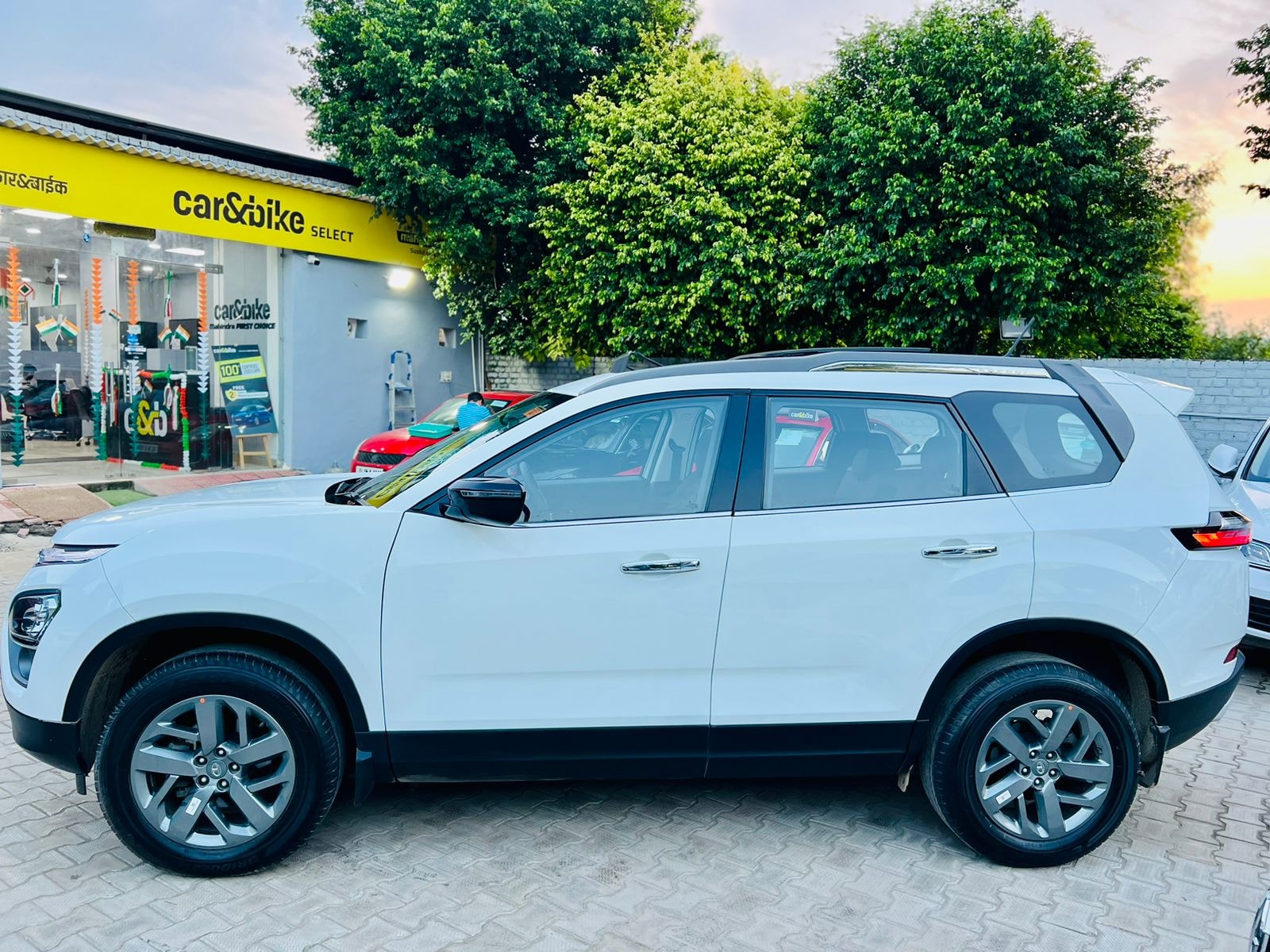 Safari image 1 Safari image 1