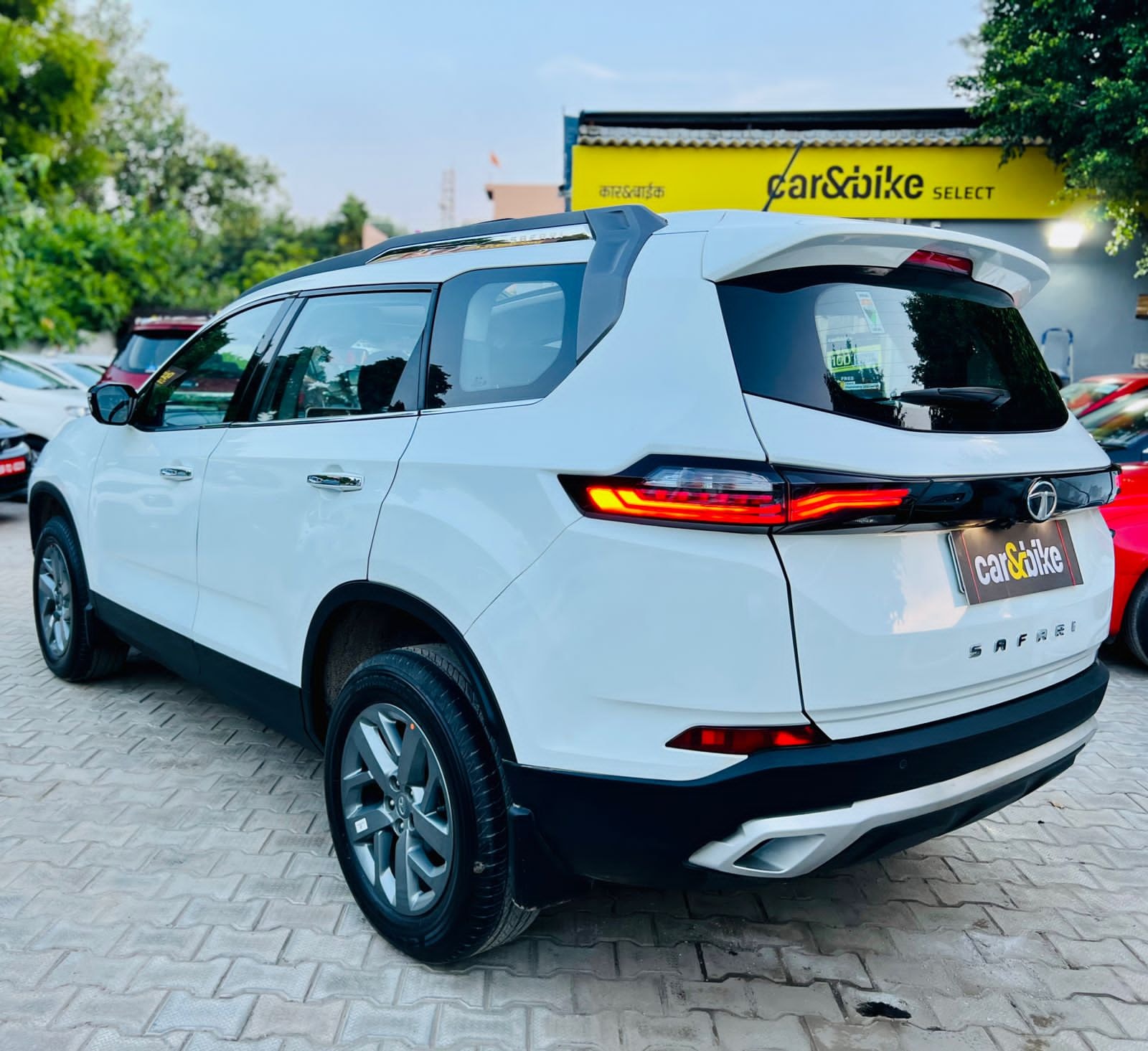 Safari image 2 Safari image 2