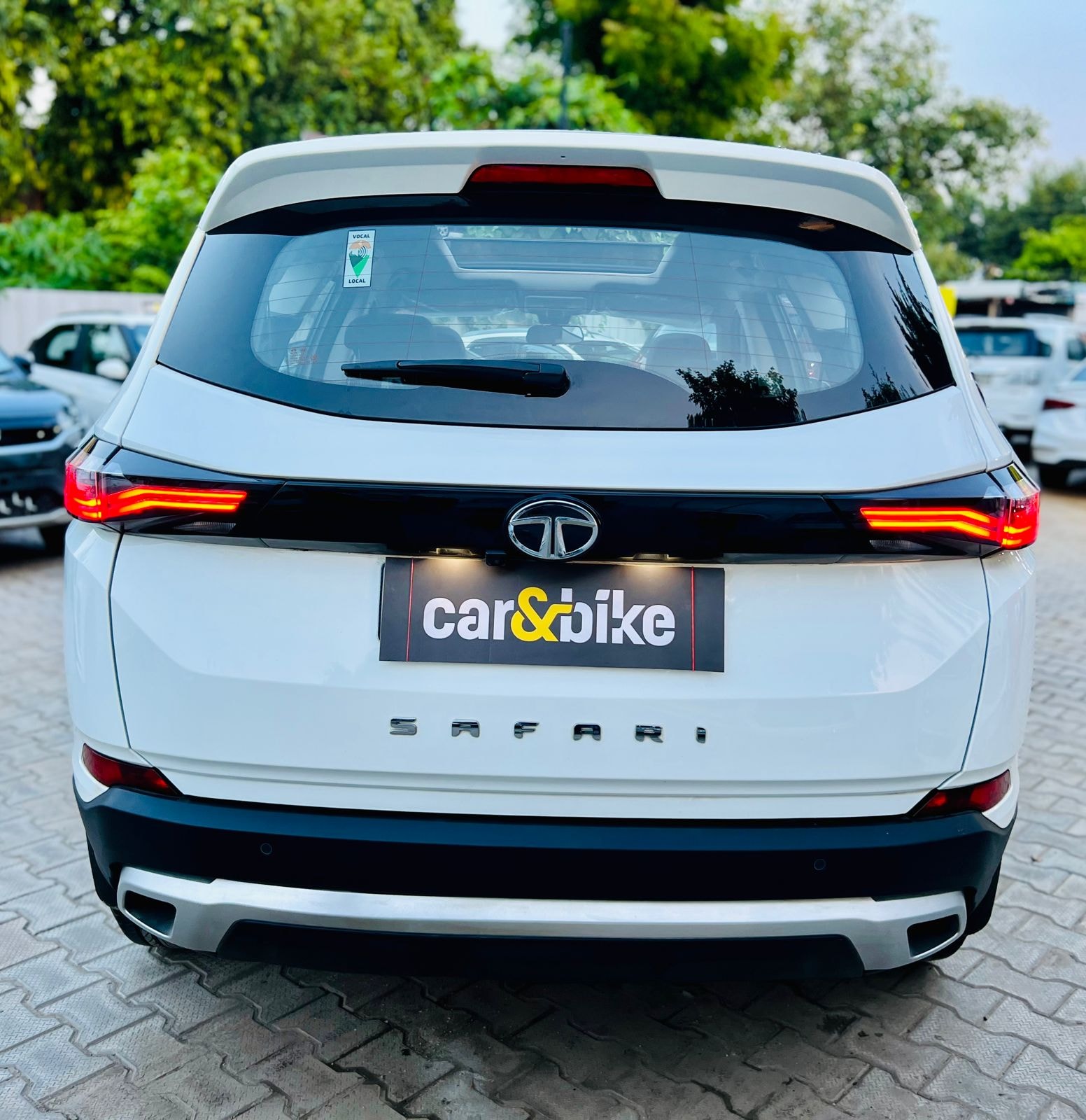 Safari image 3 Safari image 3