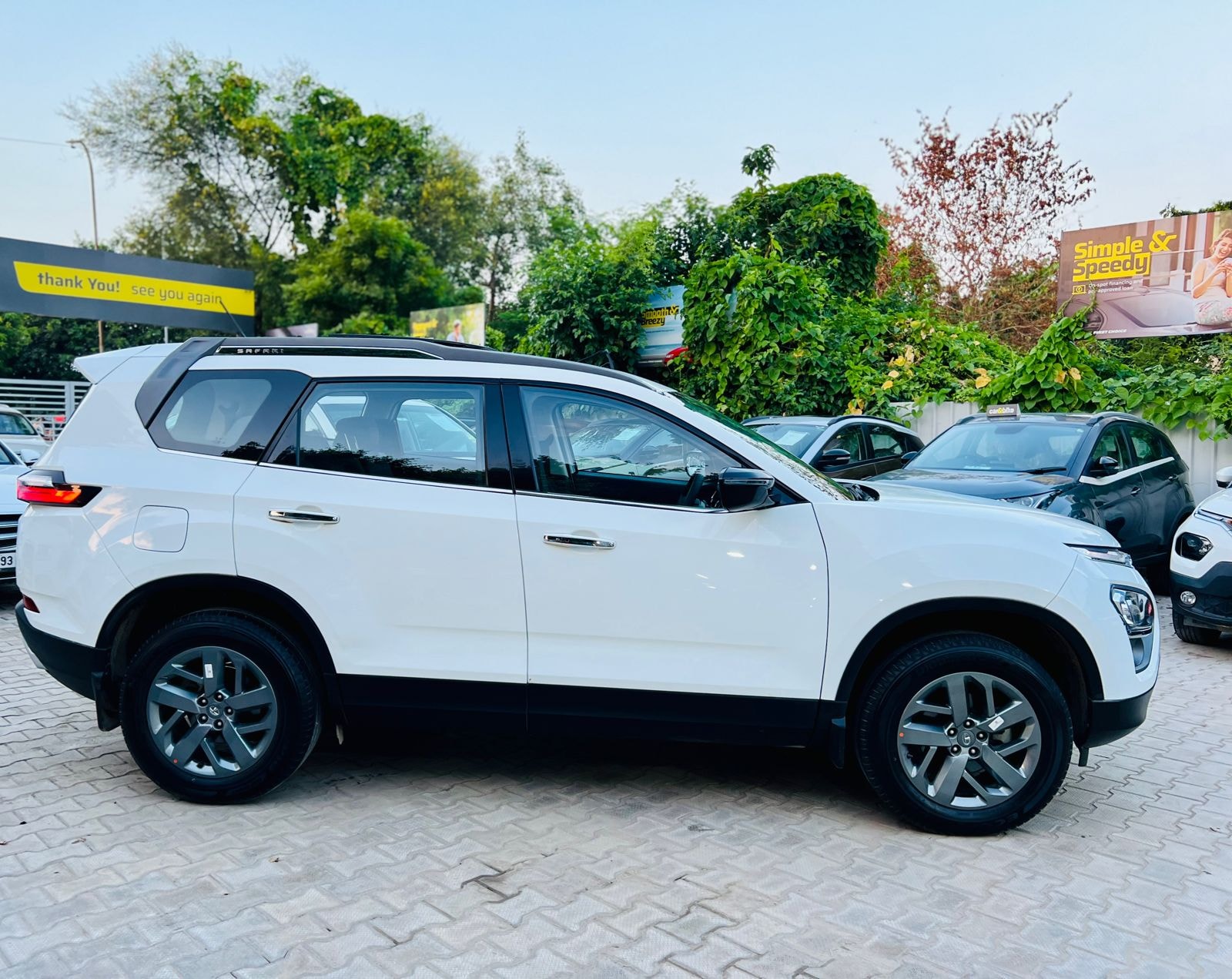 Safari image 5 Safari image 5