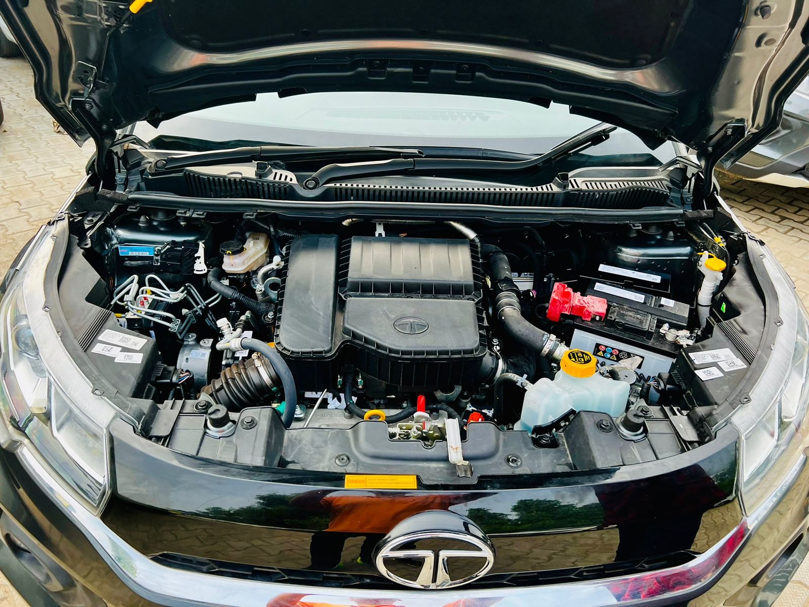 Nexon image 9 Nexon image 9