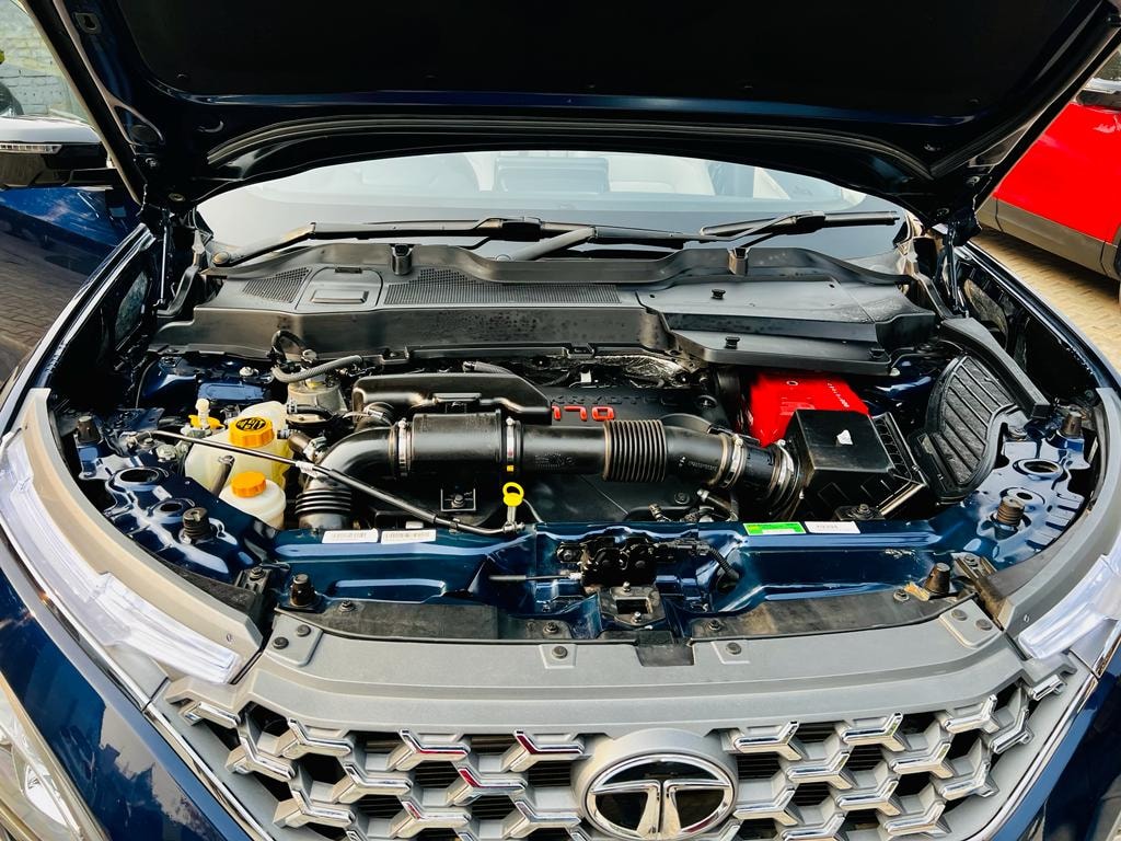 Safari image 10 Safari image 10