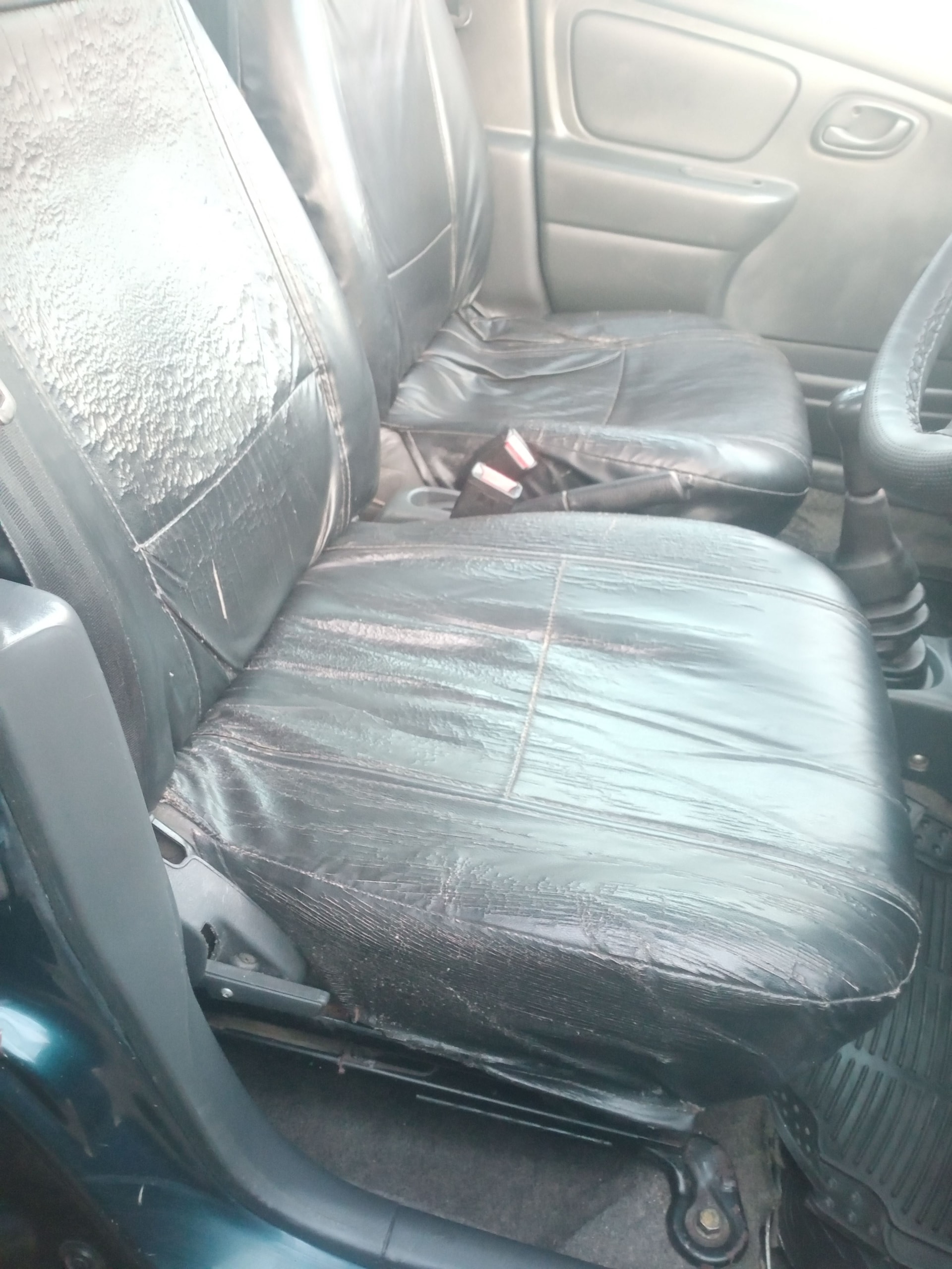 Alto image 15 Alto image 15