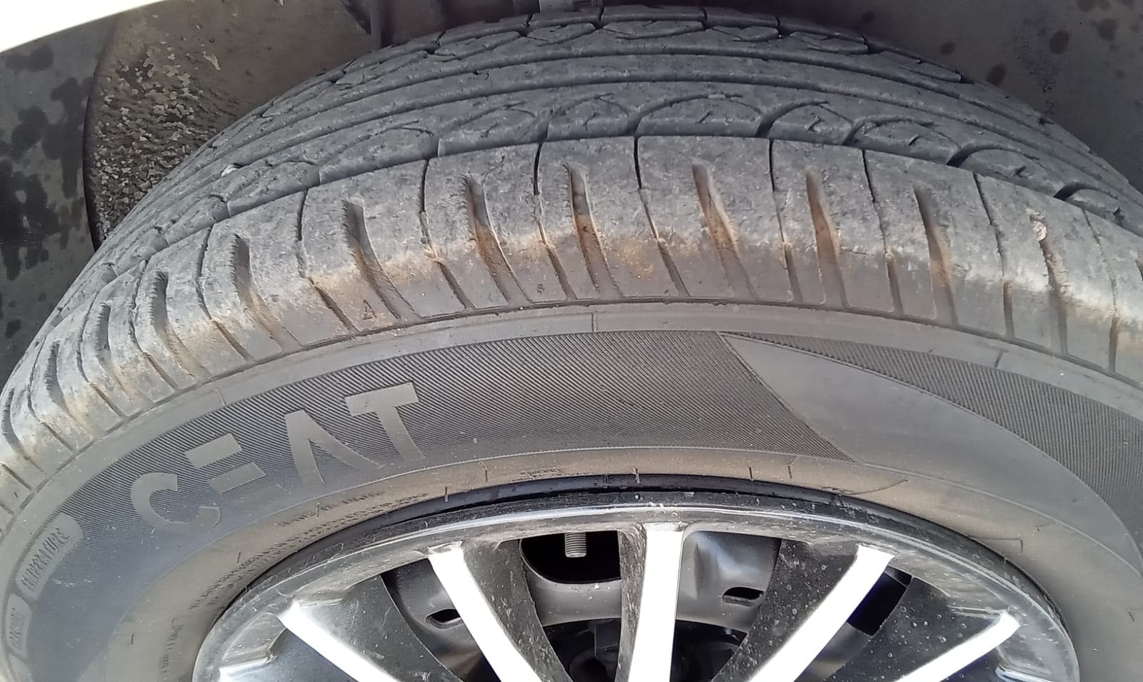 Rapid image 9 Rapid image 9