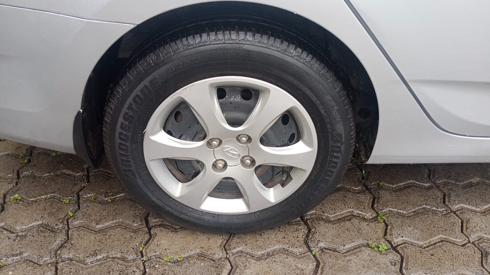 Verna image 9 Verna image 9