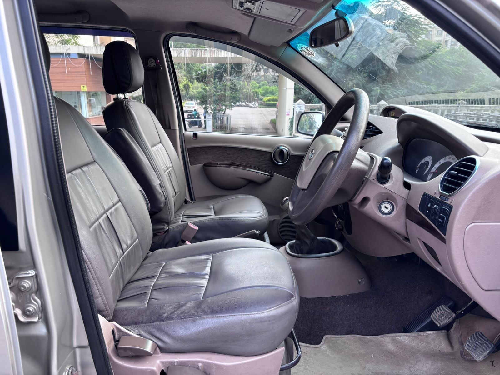 Xylo image 11 Xylo image 11