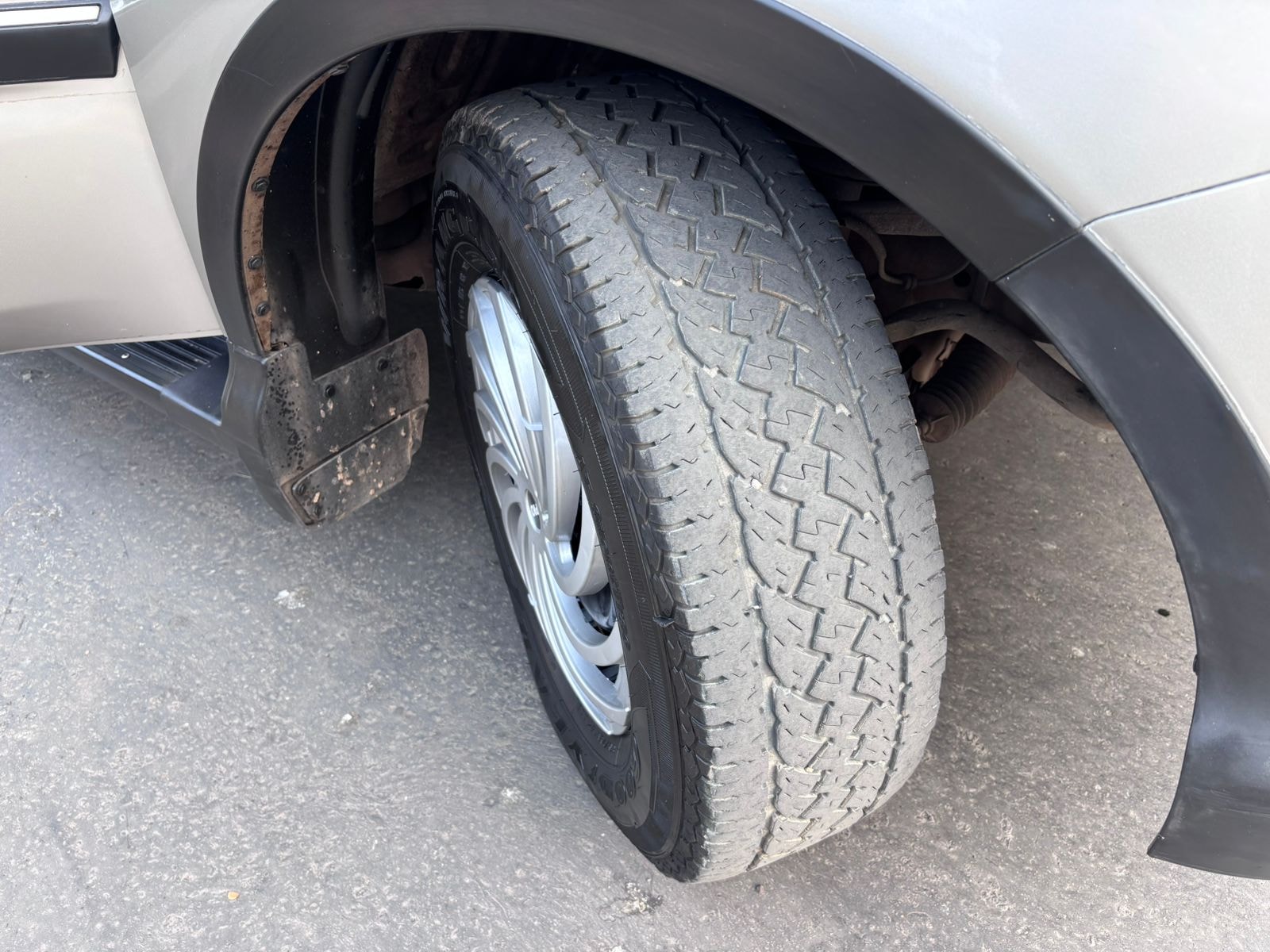 Xylo image 6 Xylo image 6