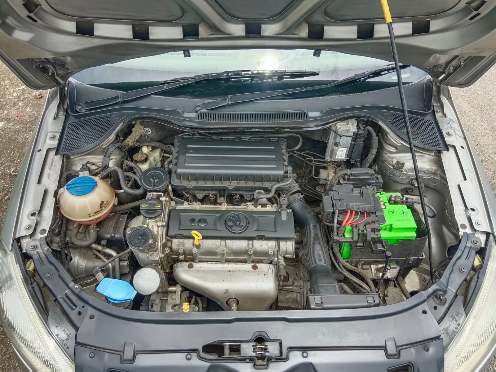 Rapid image 14 Rapid image 14