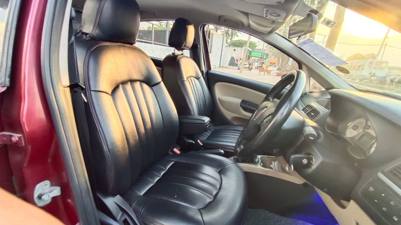 Linea image 14 Linea image 14