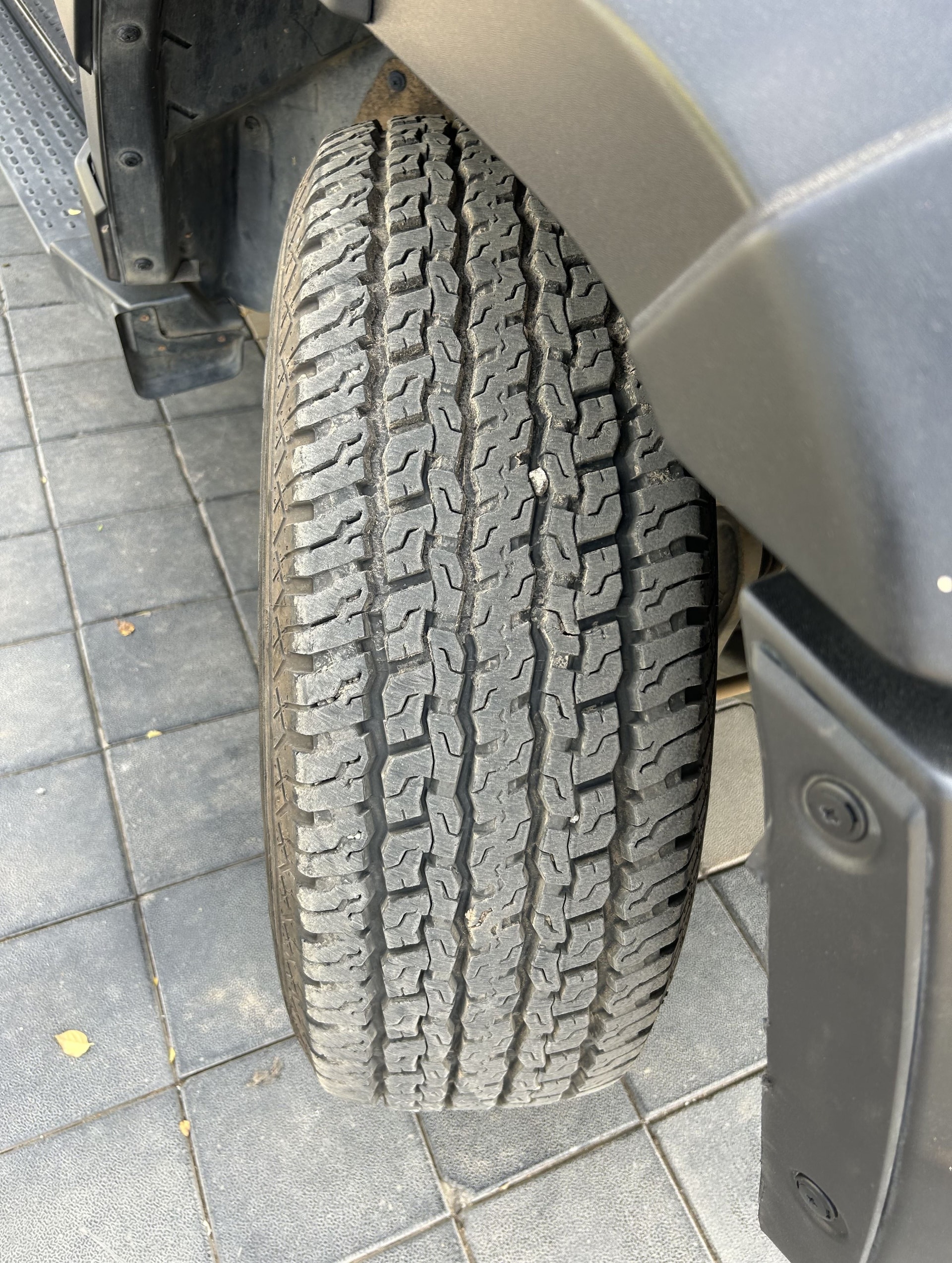 Thar image 9 Thar image 9