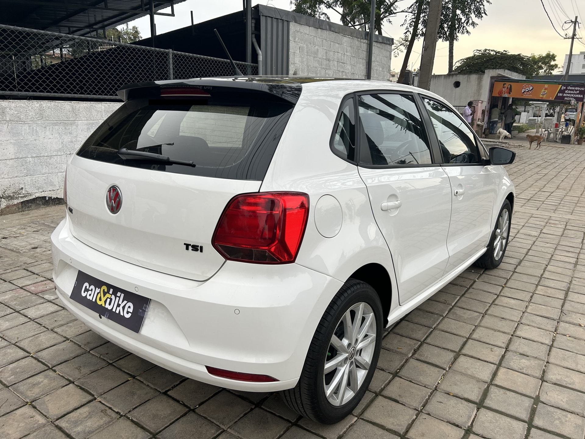 Polo image 5 Polo image 5