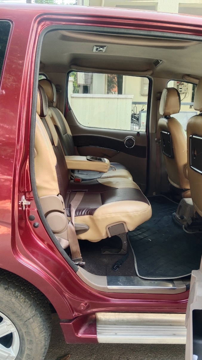 Xylo image 17 Xylo image 17