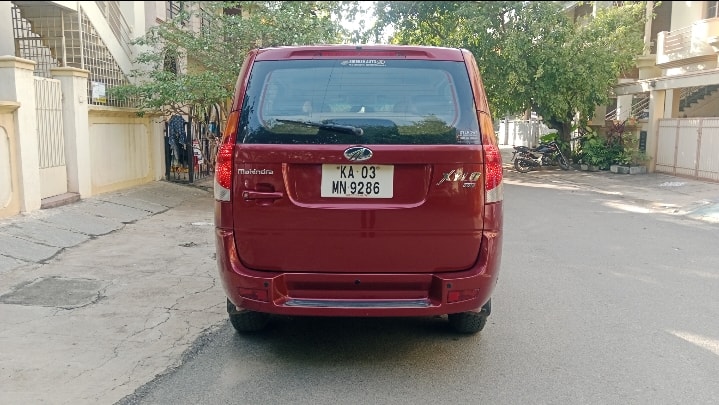 Xylo image 4 Xylo image 4