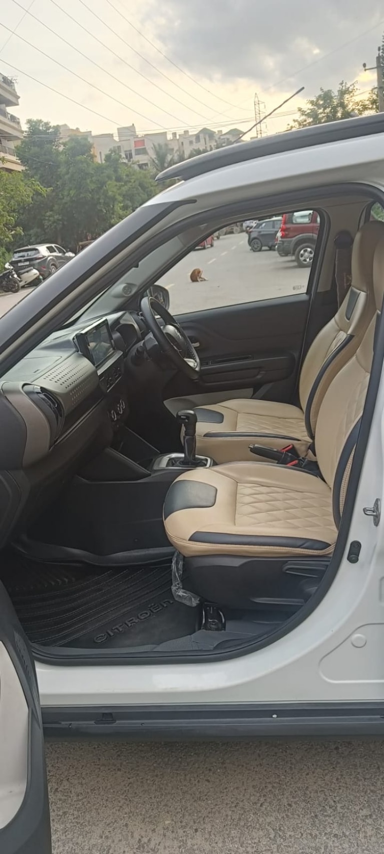 C3 image 16 C3 image 16