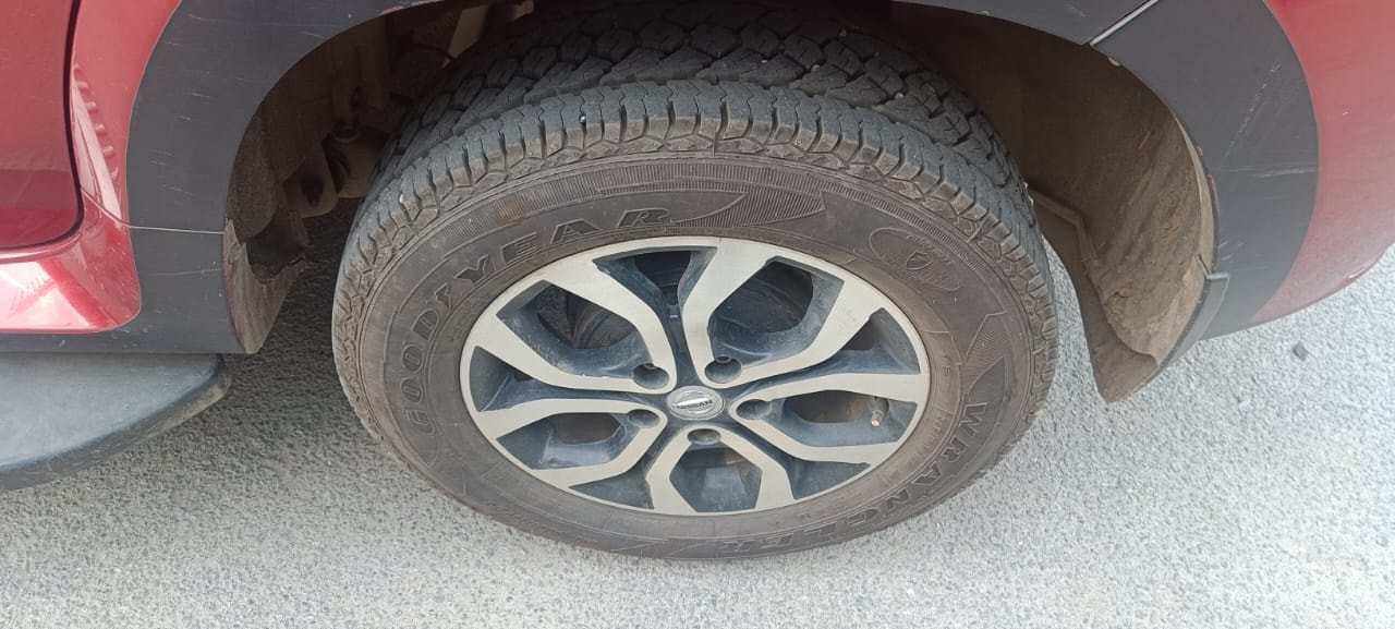 Terrano image 9 Terrano image 9