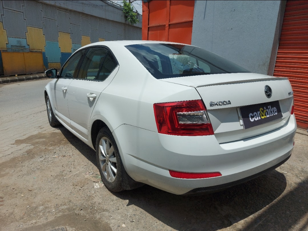 Octavia image 5 Octavia image 5