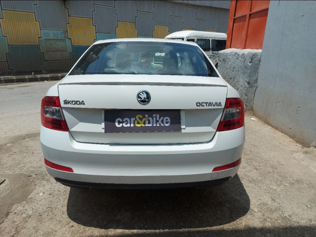 Octavia image 4 Octavia image 4