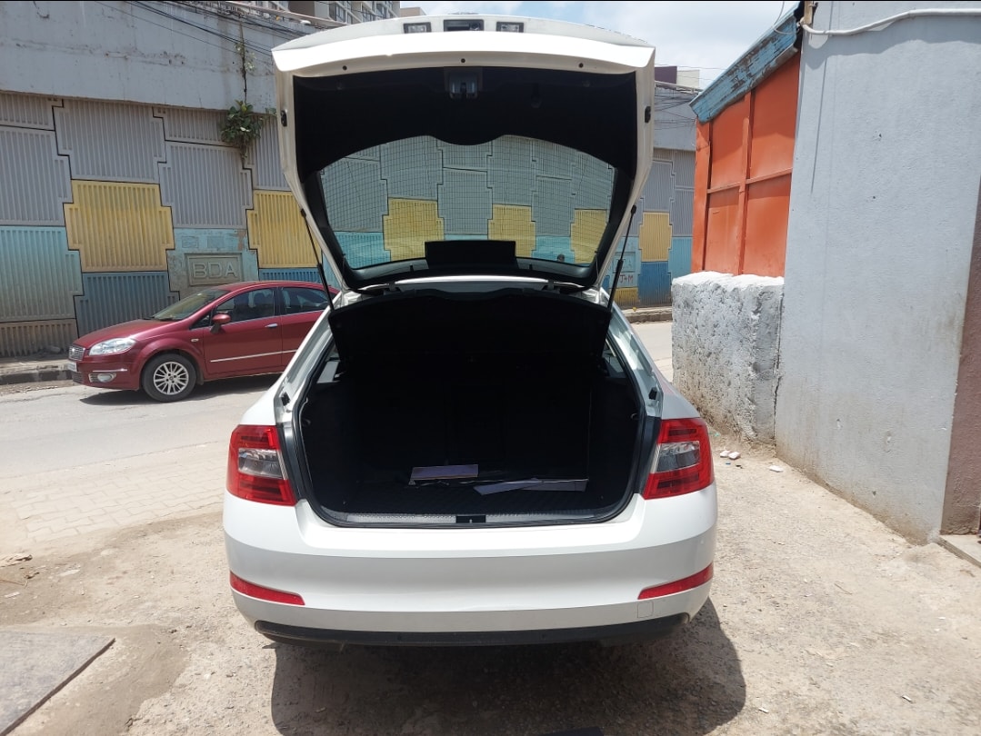 Octavia image 10 Octavia image 10