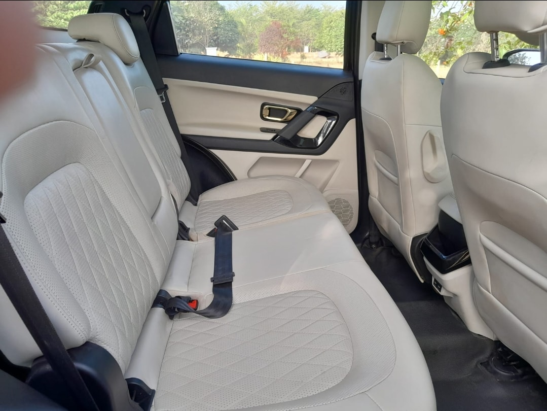 Safari image 14 Safari image 14